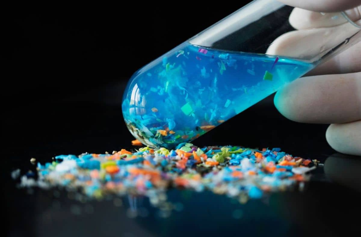 Microplastics: The Invisible Threat in Our Food and Water