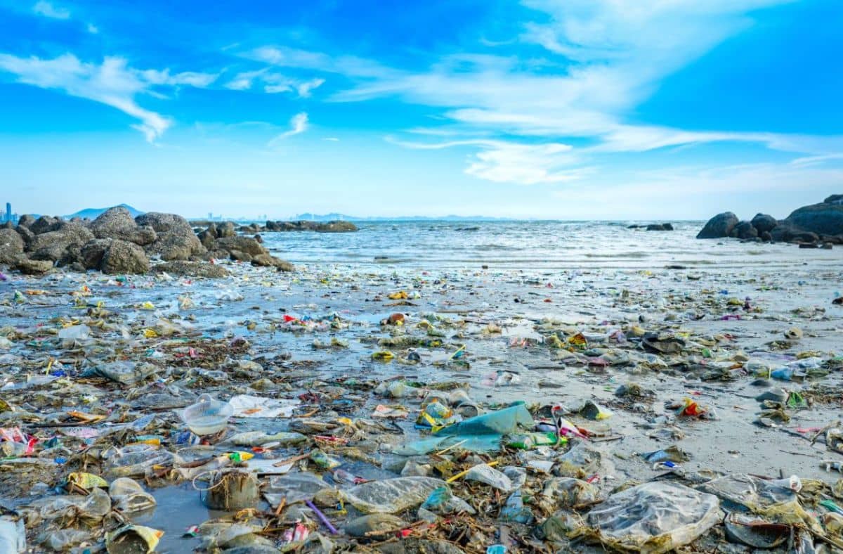 When did Plastics Become an Environmental Problem?