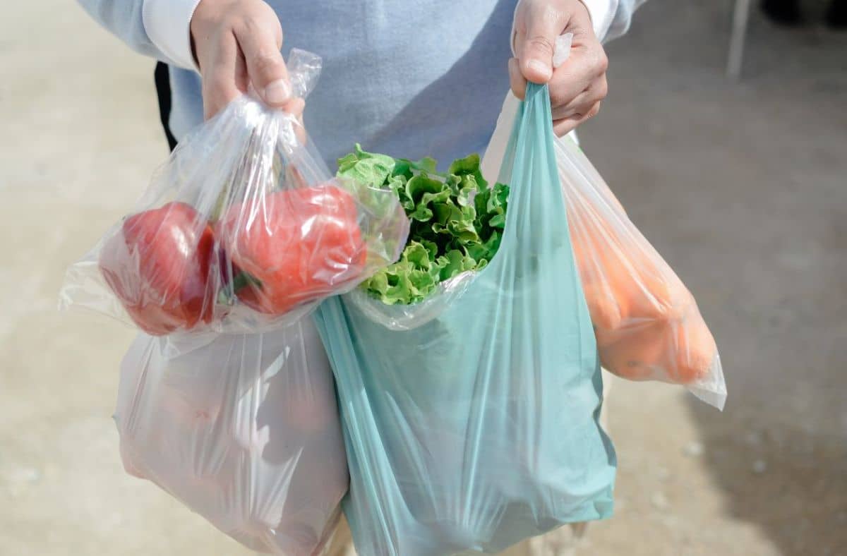 The Plastic Bag: How it Became so Popular